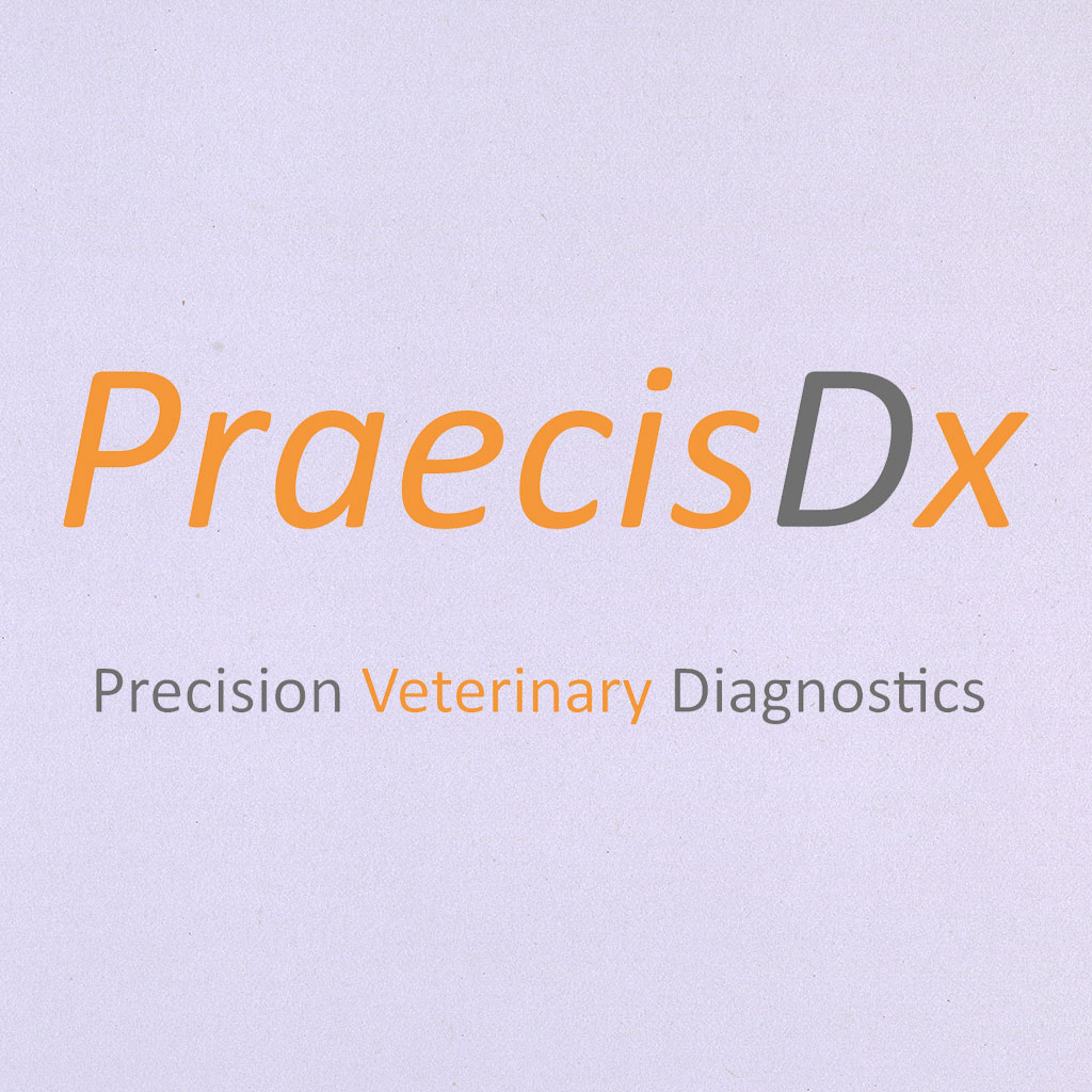 Precision Veterinary Diagnostics